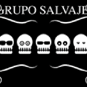 Avatar de Grupo Salvaje