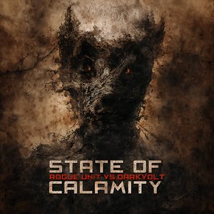 State Of Calamity