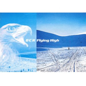 Flying High