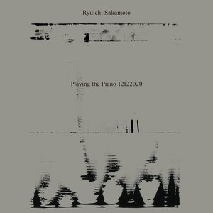 Playing The Piano 12122020