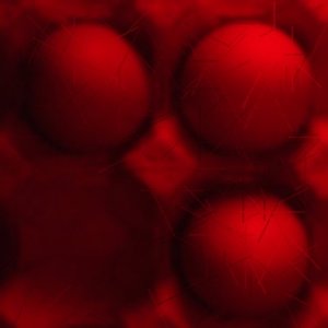 Avatar for Eggbox
