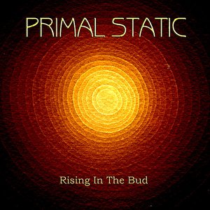 Rising In The Bud