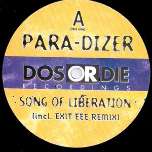 Avatar for Para-Dizer