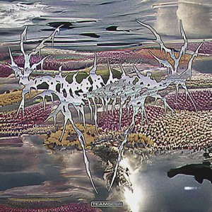 Brain Regeneration