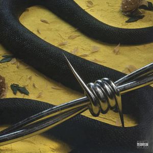 rockstar by Post Malone