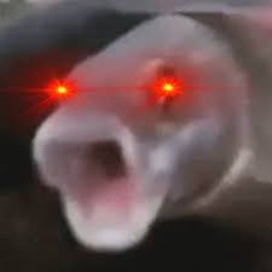 Avatar for Memus