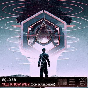 You Know Why (Don Diablo Edit)