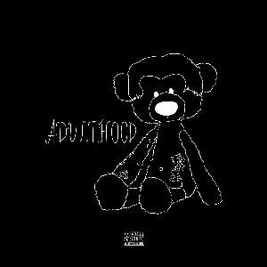 Adulthood