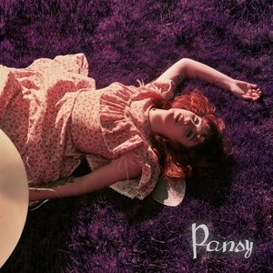 PANSY