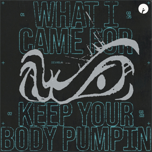 Artwork for What I Came For