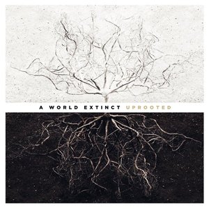 Uprooted