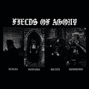 Avatar for Fields Of Agony