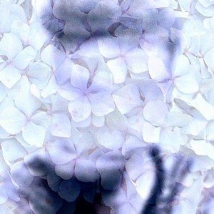 Avatar für Diropel