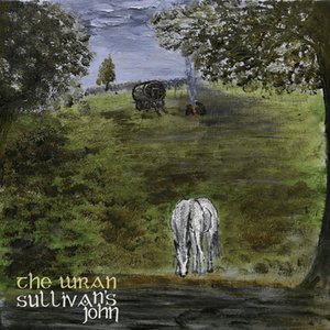 Sullivan's John
