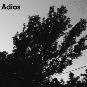 Adios
