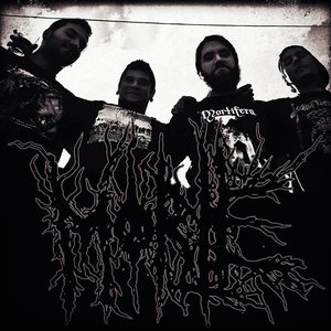 Avatar for Morte