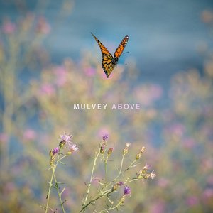 Above