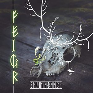 Feigr