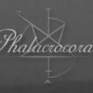 Avatar for Phalacrocorax