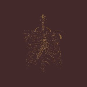 Gnawed Gristle and Bone