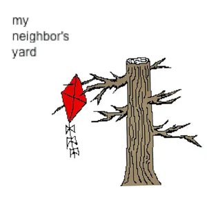 my neighbor's yard