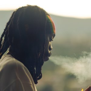 Avatar for Imeru Tafari
