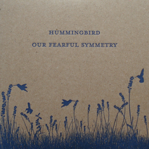 Our Fearful Symmetry