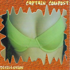 Disillusion