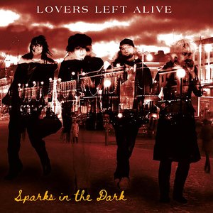 Sparks in the Dark