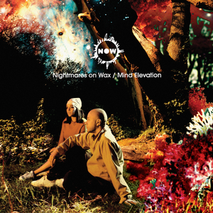 Nightmares on Wax