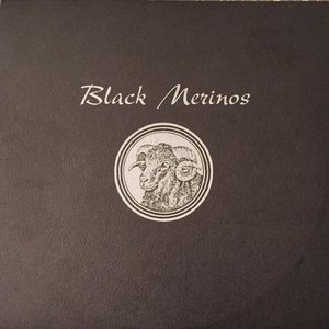 Black Merinos
