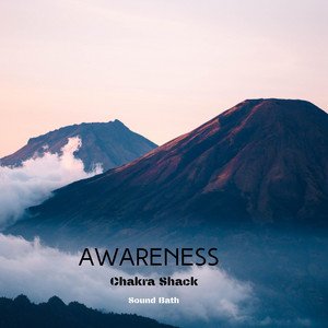 Awareness