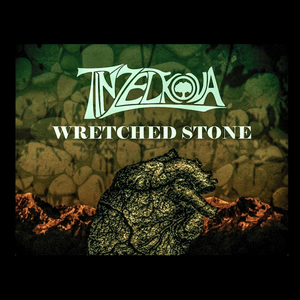 Copertina di Wretched Stone