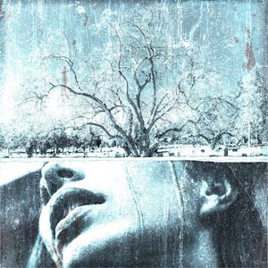 Cold Embrace Of Memories