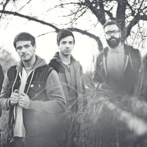 Avatar for The Color Morale