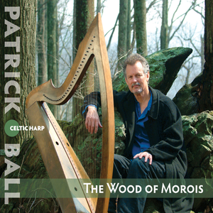 The Wood of Morois by Patrick Ball