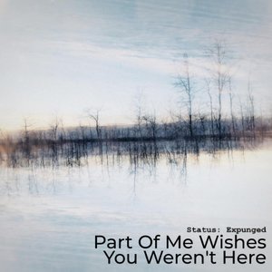 Part Of Me Wishes You Weren't Here