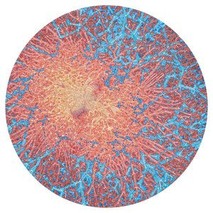 Pattern Index