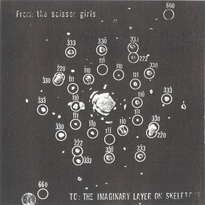 To: The Imaginary Layer on Skeletons