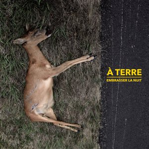 Embrasser La Nuit