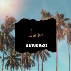Avatar for Sureboi