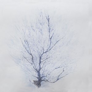 Acoustic EP
