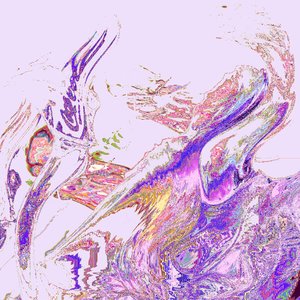 Avatar for sorwu