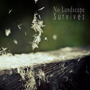 Avatar for No Landscape Survives