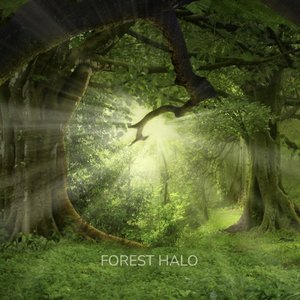 Avatar for Forest Halo