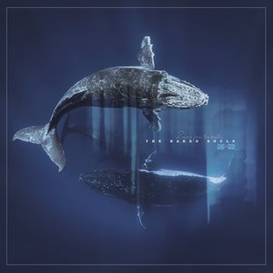 Reverb From The Depths