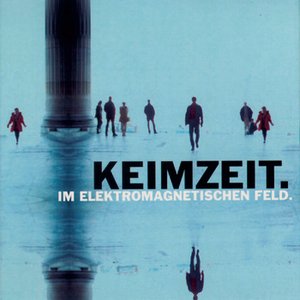 Im elektromagnetischen Feld