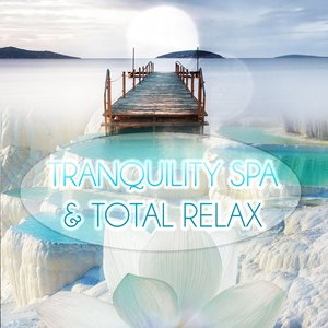 Avatar for Tranquility Spa Universe
