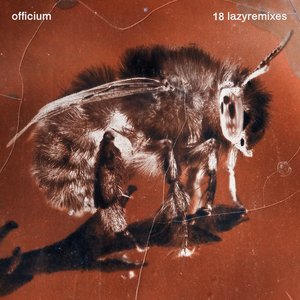 18 Lazyremixes