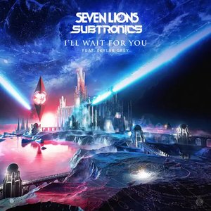 I'll Wait For You (feat. Skylar Grey)
